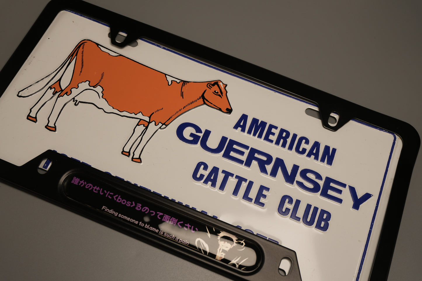 License plate frame aluminum - Gojo  Jujutso kaisen "finding someone to blame is such a pain"?
