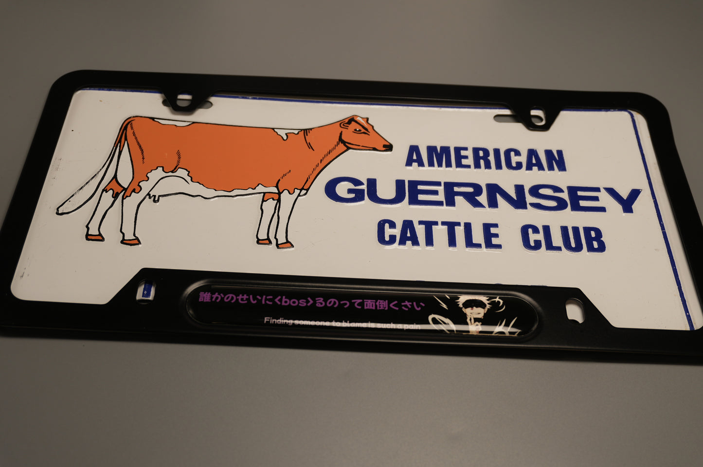License plate frame aluminum - Gojo  Jujutso kaisen "finding someone to blame is such a pain"?