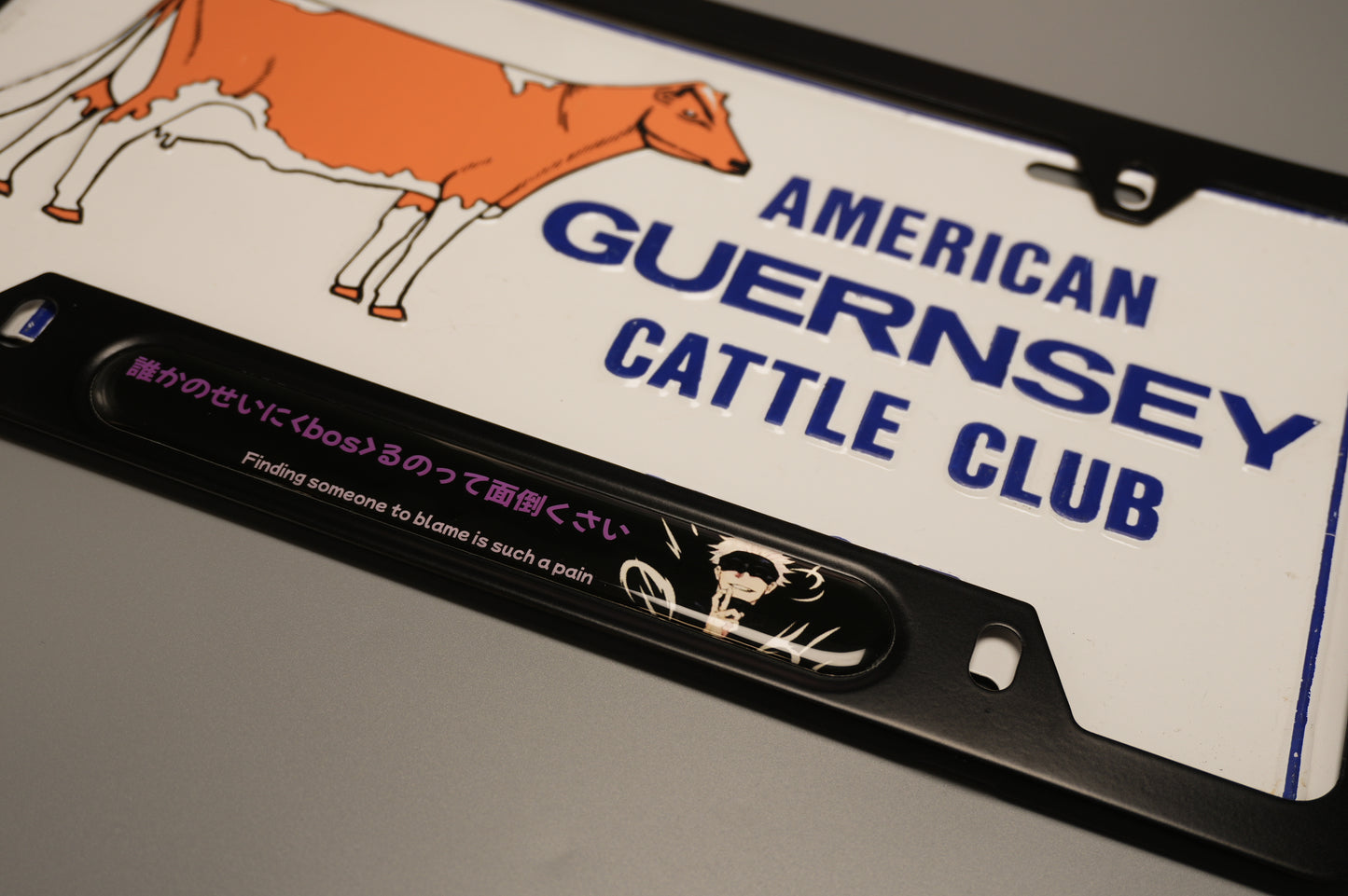 License plate frame aluminum - Gojo  Jujutso kaisen "finding someone to blame is such a pain"?