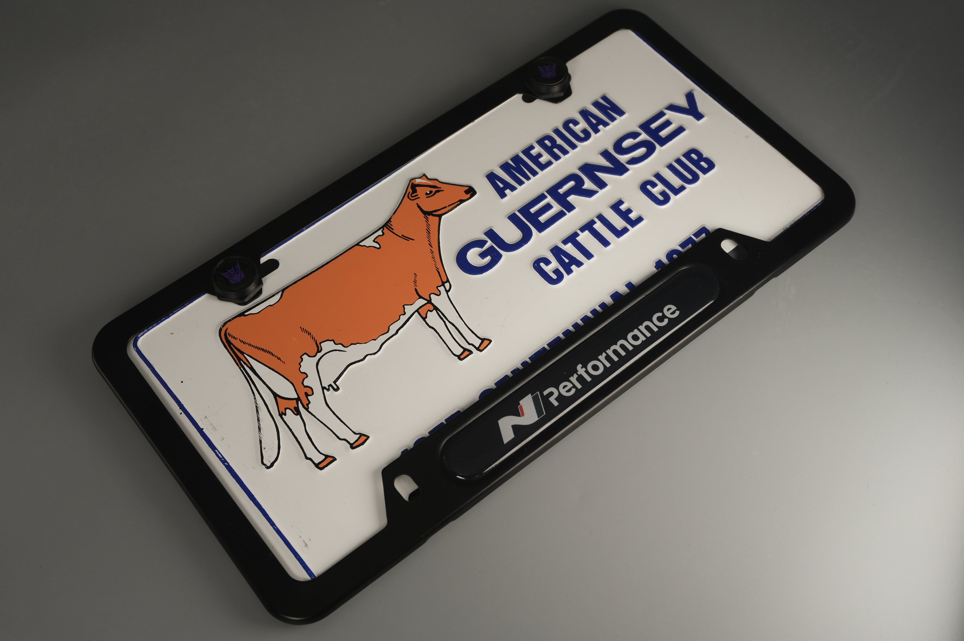 License Plate Frame Hyundai N Performance for Elantra N Kona N Veloster N