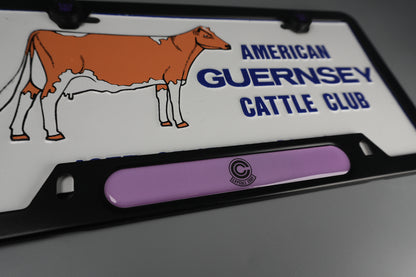 License Plate Frame team DBZ CAPSULE corp