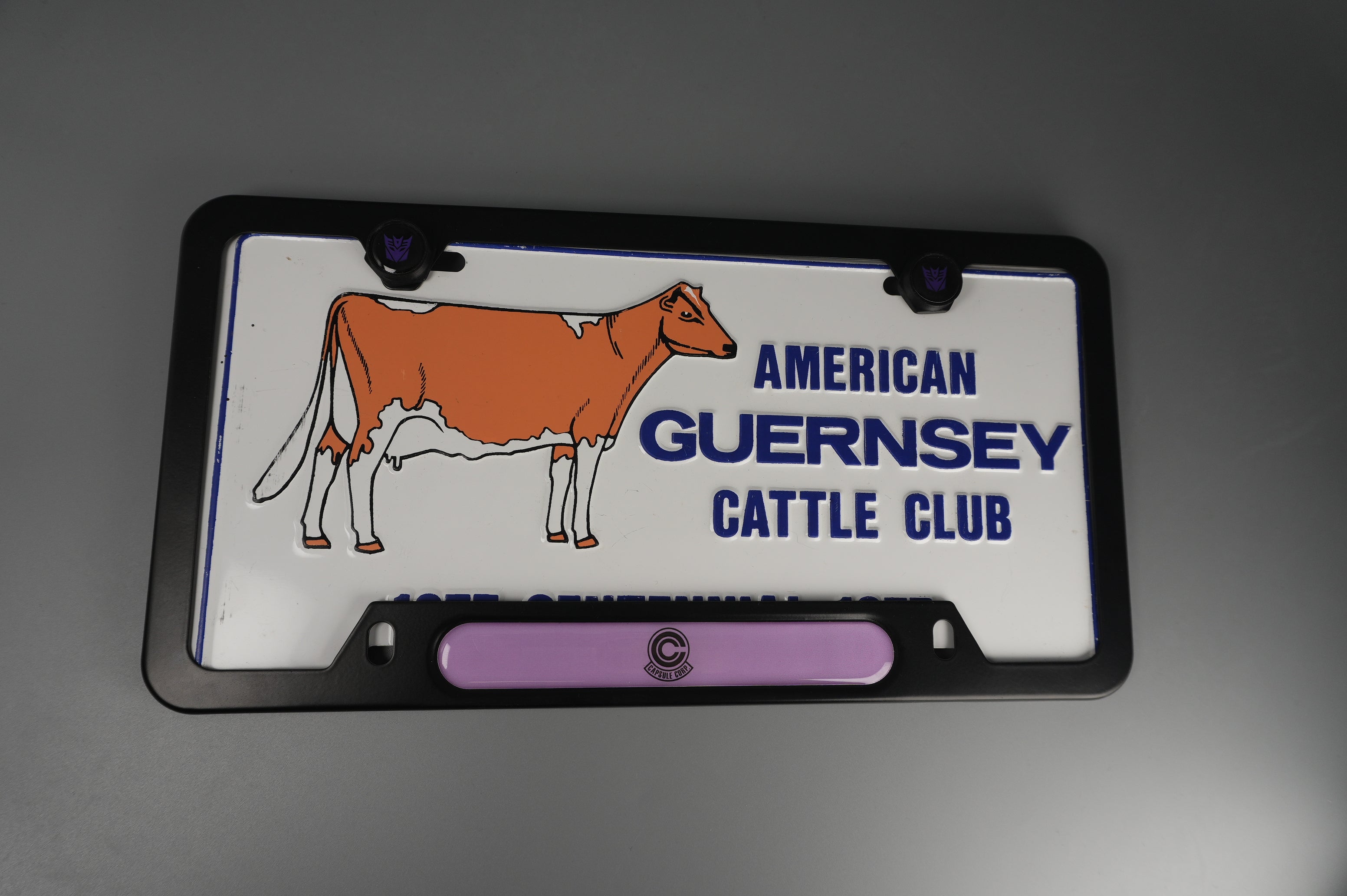 License Plate Frame team DBZ CAPSULE corp