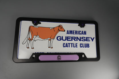 License Plate Frame team DBZ CAPSULE corp