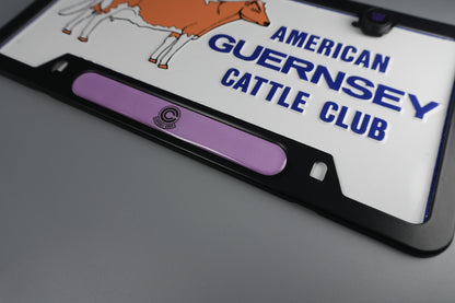 License Plate Frame team DBZ CAPSULE corp