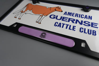 License Plate Frame team DBZ CAPSULE corp