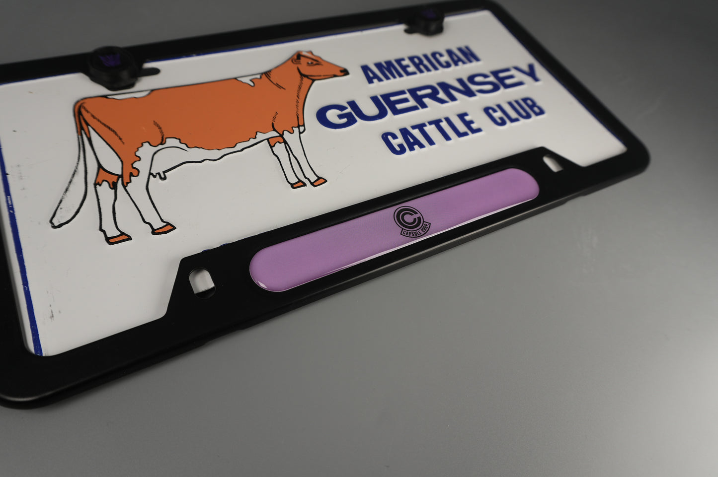 License Plate Frame team DBZ CAPSULE corp